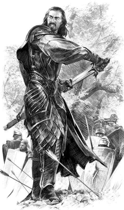 Война мага. Том 4. Конец игры. Часть 1 - i_002.jpg