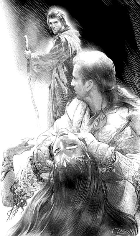 Война мага. Том 4. Конец игры. Часть 1 - i_008.jpg