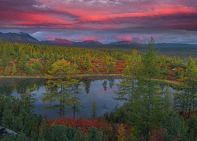 Золотой край. Трилогия (СИ) - img_43