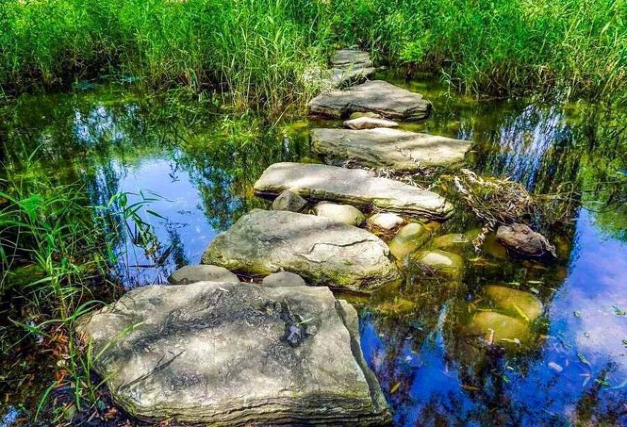 Ворона на взлете (СИ) - img_12