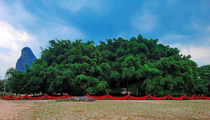 Ворона на взлете (СИ) - img_58