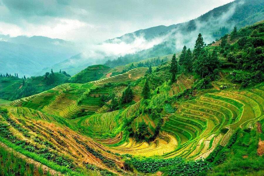 Ворона на взлете (СИ) - img_61