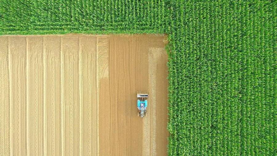 Ворона на взводе (СИ) - img_7