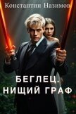 Нищий граф (СИ) - Борисов-Назимов Константин