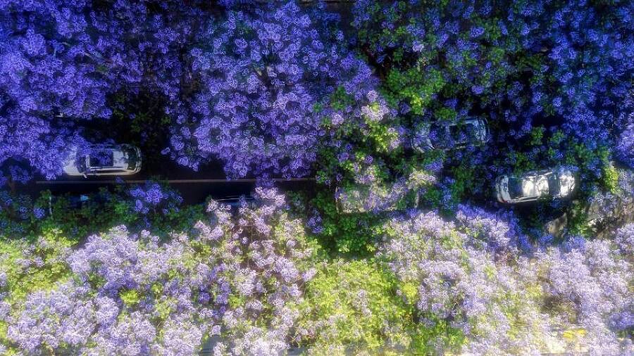 Бионическая ворона (СИ) - img_29