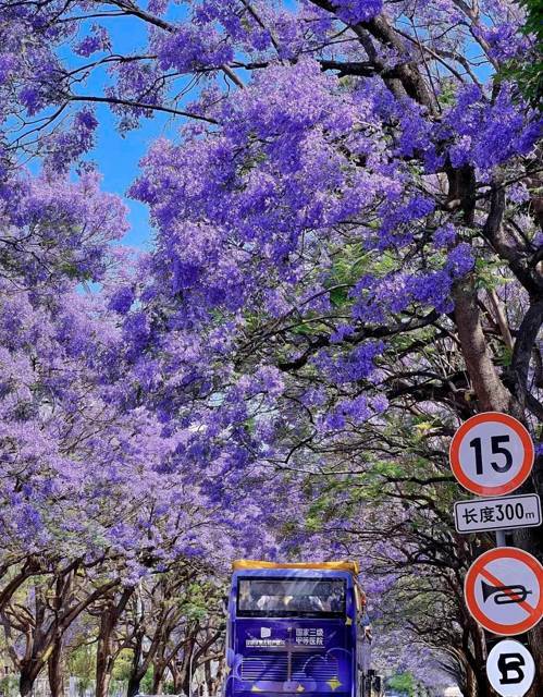 Бионическая ворона (СИ) - img_30