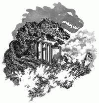 Тряпка - _1.jpg