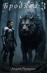 Бродяга 3 (СИ) - Первухин Андрей Евгеньевич