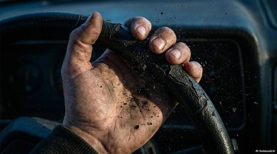 Жажда бессмертия (СИ) - img_42