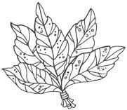 Там, где крадут сердца - img_17