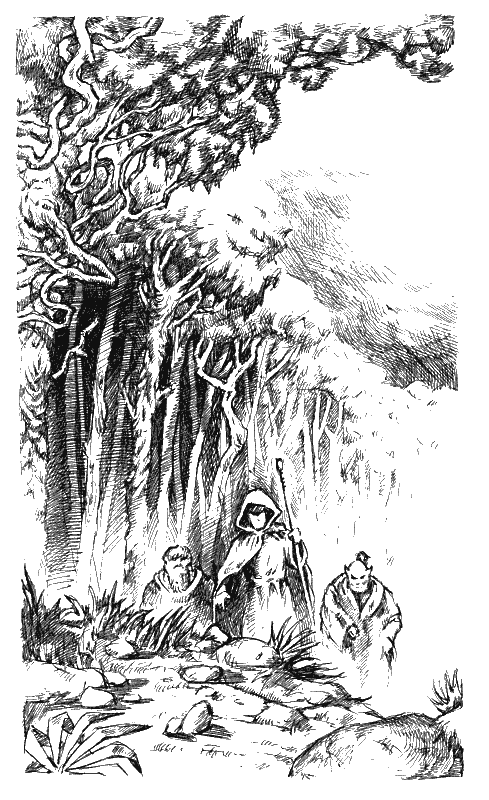 Хранитель Мечей. Странствия мага. Том 1 - i_006.png