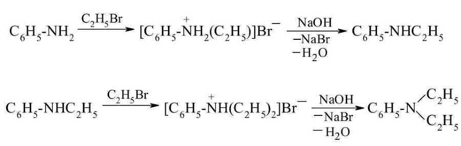 Руса. Расширяя пределы (СИ) - img_4