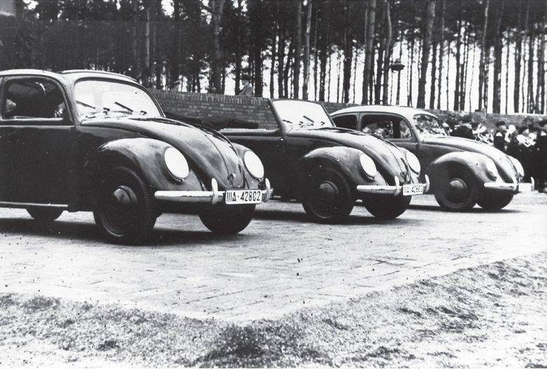 Дорога к миру (СИ) - img_21