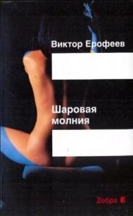 Шаровая молния - Ерофеев Виктор Владимирович