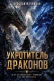 Укротитель Драконов 4 (СИ) - Мечников Ярослав
