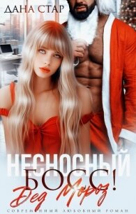 Несносный босс Дед Мороз - Стар Дана
