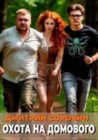 Охота на домового (СИ) - Сорокин Дмитрий