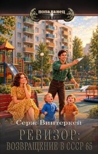 Ревизор: возвращение в СССР 65 (СИ) - Винтеркей Серж