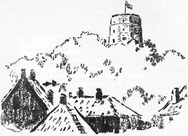 Под горой Гедимина - i_002.jpg