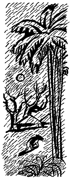 Следы невиданных зверей - i_24.png