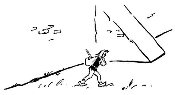 Необыкновенная история о чудесной свирели и зеленом петушке - i_037.png