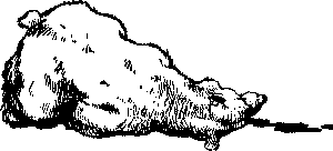 «ЛАХТАК» - laht2112_.png