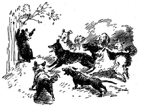 Егорка - image017.png