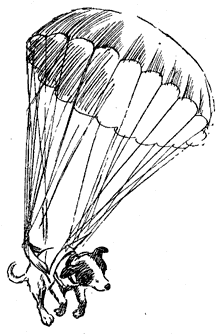 Егорка - image029.png