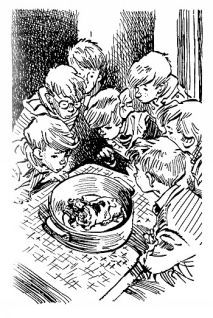 Приключения Электроника (С иллюстрациями) - i_024.jpg