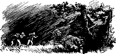 Приключения Тома Сойера. Приключения Гекльберри Финна - doc2fb_image_03000013.png