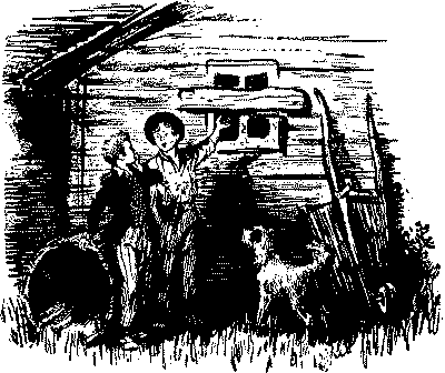 Приключения Тома Сойера. Приключения Гекльберри Финна - doc2fb_image_03000038.png