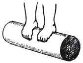 Физическое воспитание детей младшего школьного возраста - i_187.png