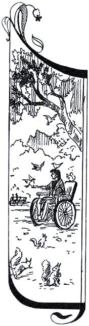 Возвращение Поллианны (Юность Поллианны) (Поллианна вырастает) (Другой перевод) - i_007.png